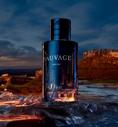 sauvage dior holandia|Dior cologne perfume.